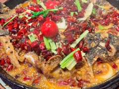 -老板恋上鱼(恒隆广场店)