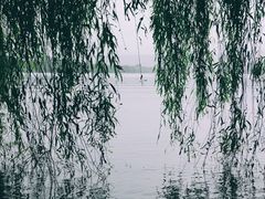 -西湖游船