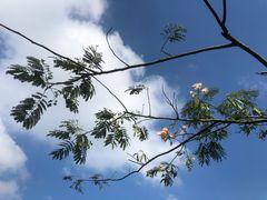 -达蓬山旅游度假区