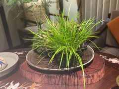 -31号公馆(黄兴广场白果园店)