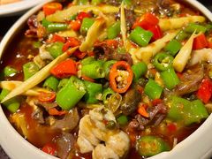 -陈麻婆豆腐总店