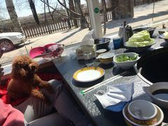 -荣德灶台鱼(圣泉寺店)