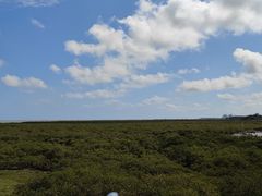 -北海金海湾红树林生态旅游区