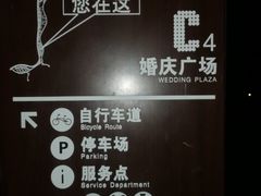 -深圳湾公园-停车场