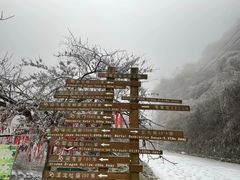 -西安祥峪森林公园