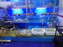水产区-金龙·打边炉(武进路店)