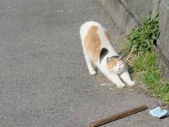 -京玉菲饭店(李村店)