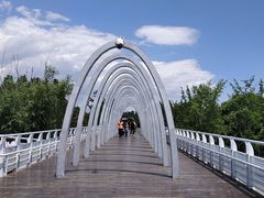 -大兴滨河森林公园