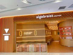-代数学家algebraist(苏州中心店)