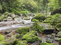 -青城山