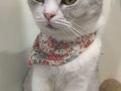 -共舞时光猫咖·狗咖(新街口店)