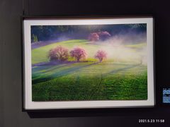 -罗红摄影艺术馆