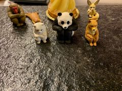 -财神鸡煲(华强北店)