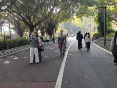 -南宁南湖公园