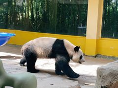 -杭州野生动物世界