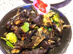 -蛙来哒(万豪城市广场黑金冠店)