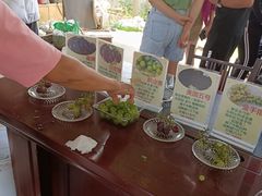 -马陆小张葡萄园农家乐