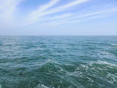 -上海港国际客运中心
