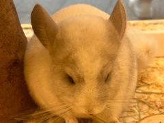 -龙猫仔乐园(惠福东路店)