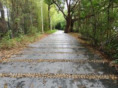 -燕晗山郊野公园