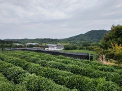 -中国茶叶博物馆(双峰馆区)