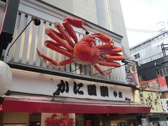 -蟹道乐(道顿堀本店)