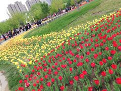 -长春公园(普阳街道)