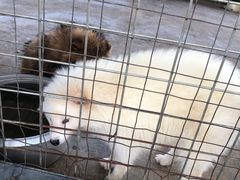 -田园寨农园观光园