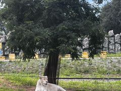 -秦皇岛野生动物园