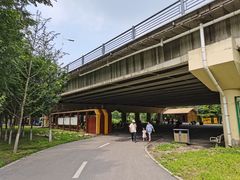 -长白岛森林公园