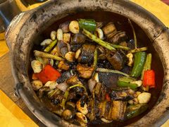 -天宝食坊·啫啫煲大排档(西华路店)