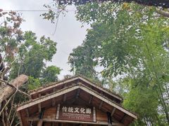 -海南槟榔谷黎苗文化旅游区