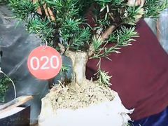 -张钰强中医正骨推拿连锁(唐家人才公寓店)