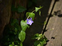 -苏州河梦清园环保主题公园