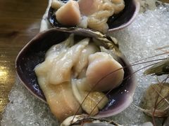 -海桐