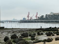 -中澳友谊花园