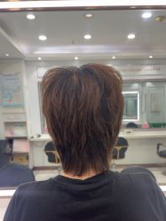 -镁连社·美联社