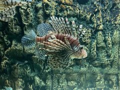 -北戴河圣蓝海洋公园