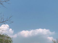 -天适樱花悠乐园