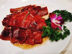 -大东海海鲜酒楼(渔人码头总店)