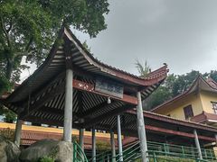 -漳州云洞岩风景区-瑞竹岩