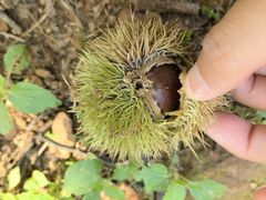 -敬亭山风景名胜区