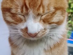 -沃尔玛购物广场(南城印象汇店)