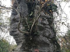 -山王坪喀斯特国家生态公园