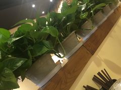 -茶花妹子云南餐厅(传媒大学店)