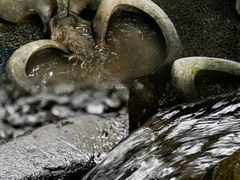 -成都市活水公园