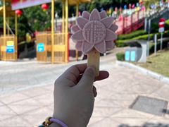 -广州莲花山旅游区