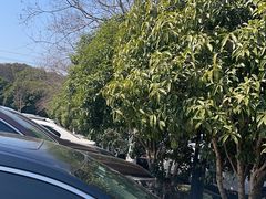 -凤凰沟景区