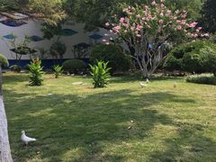 -济南南郊宾馆