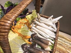 -春润大地海南椰子鸡(沙井京基百纳广场店)